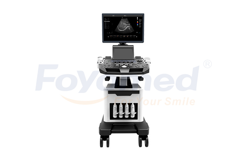 Economical Type 4D Trolley Color Doppler Ultrasound Scanner FY9113
