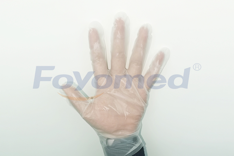 CPE Gloves FY0808