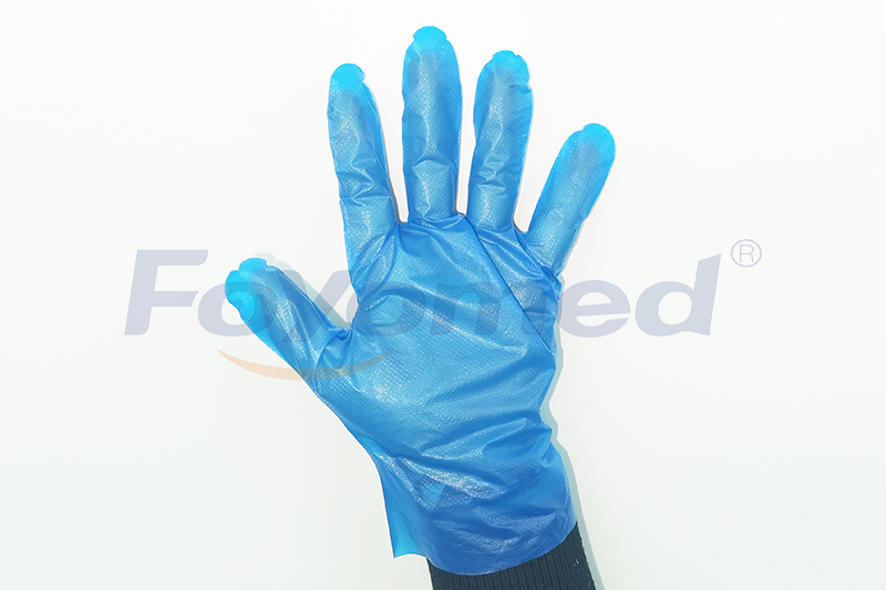 TPE Gloves FY0809