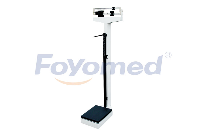 FYW011003 Health Scale