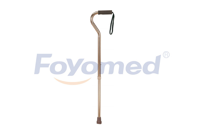 FYR041003 Walking Stick
