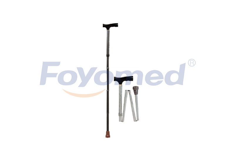 FYR041005 Walking Stick