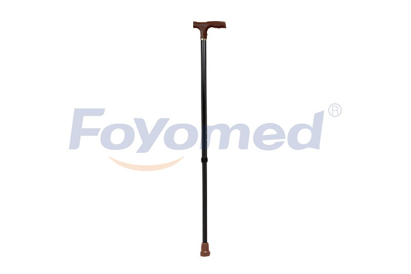 FYR041008 Walking Stick