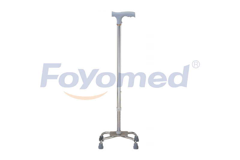 FYR041009 Walking Stick