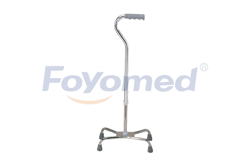 FYR041010 Walking Stick