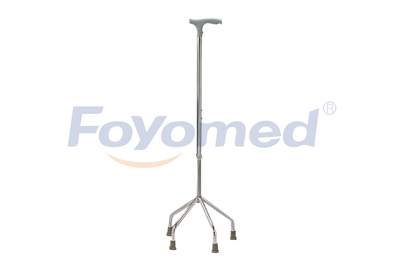 FYR041011 Walking Stick