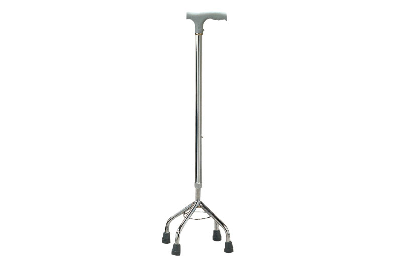 FYR041012 Walking Stick