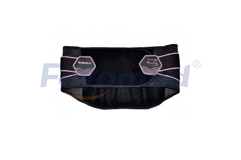 FYR071011 Lumbar Support