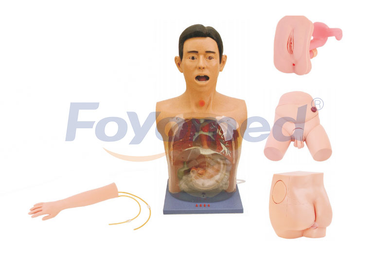 FYM011009 Basic Nursing Manikin