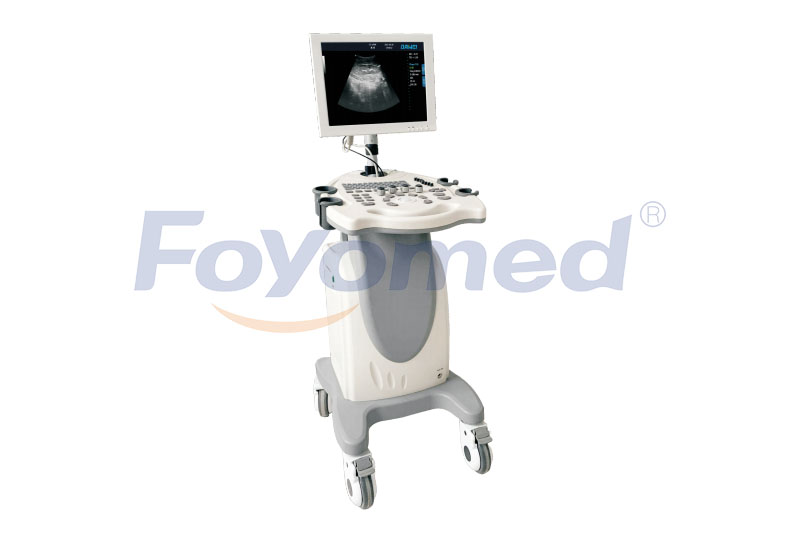 FYU061001 PC Platform Full-digital Black and White Ultrasound Diagnostic System